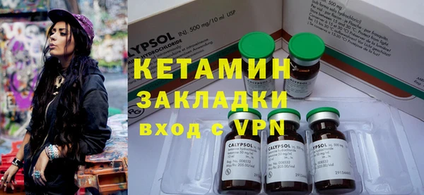 индика Новодвинск