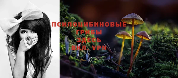 эйфоретик Армянск